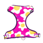 Arnés Freefaro Air Total Blue G