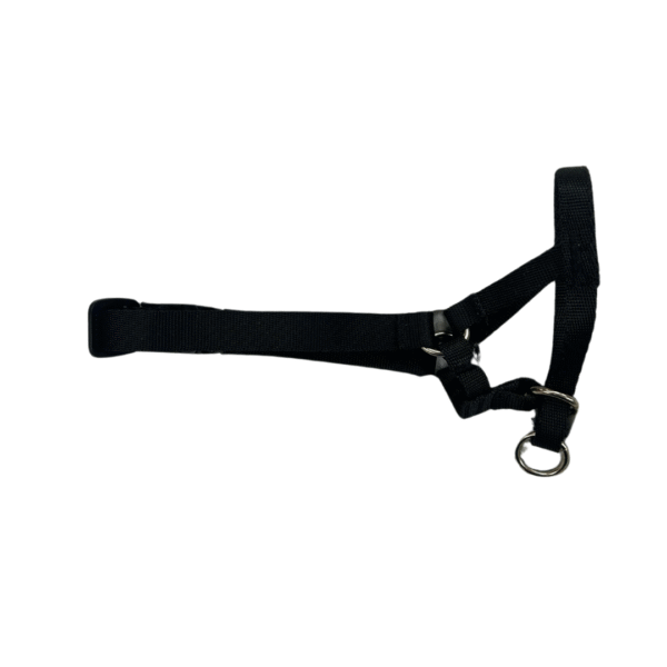 Dogal Pawise Talle 5