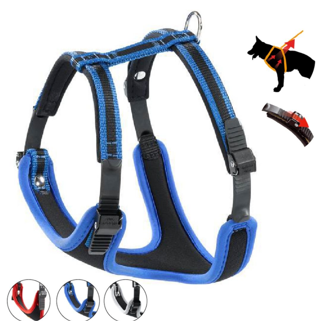 Arnes-Para-Perros-Azul-Talle-P-XL.jpg Arnés Para Perros Azul Talle P XL - Imagen 1