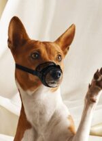 Bozal De Tela Pawise Talle XS - Imagen 2