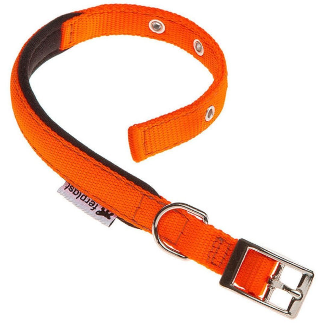 COLLAR-DAYTONA-C15x35-NARANJA.jpg Collar Daytona C15x35 Para Perros Naranja - Imagen 1