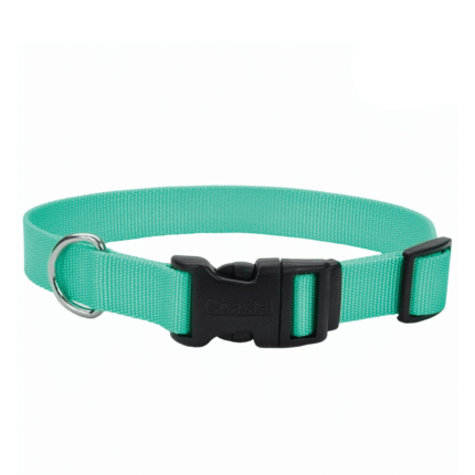 Collar Coastal Verde Agua M