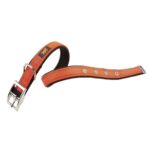 Collar Dual CF15x35 Para Perros Naranja