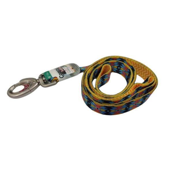 Correa Coastal Violeta y Amarillo