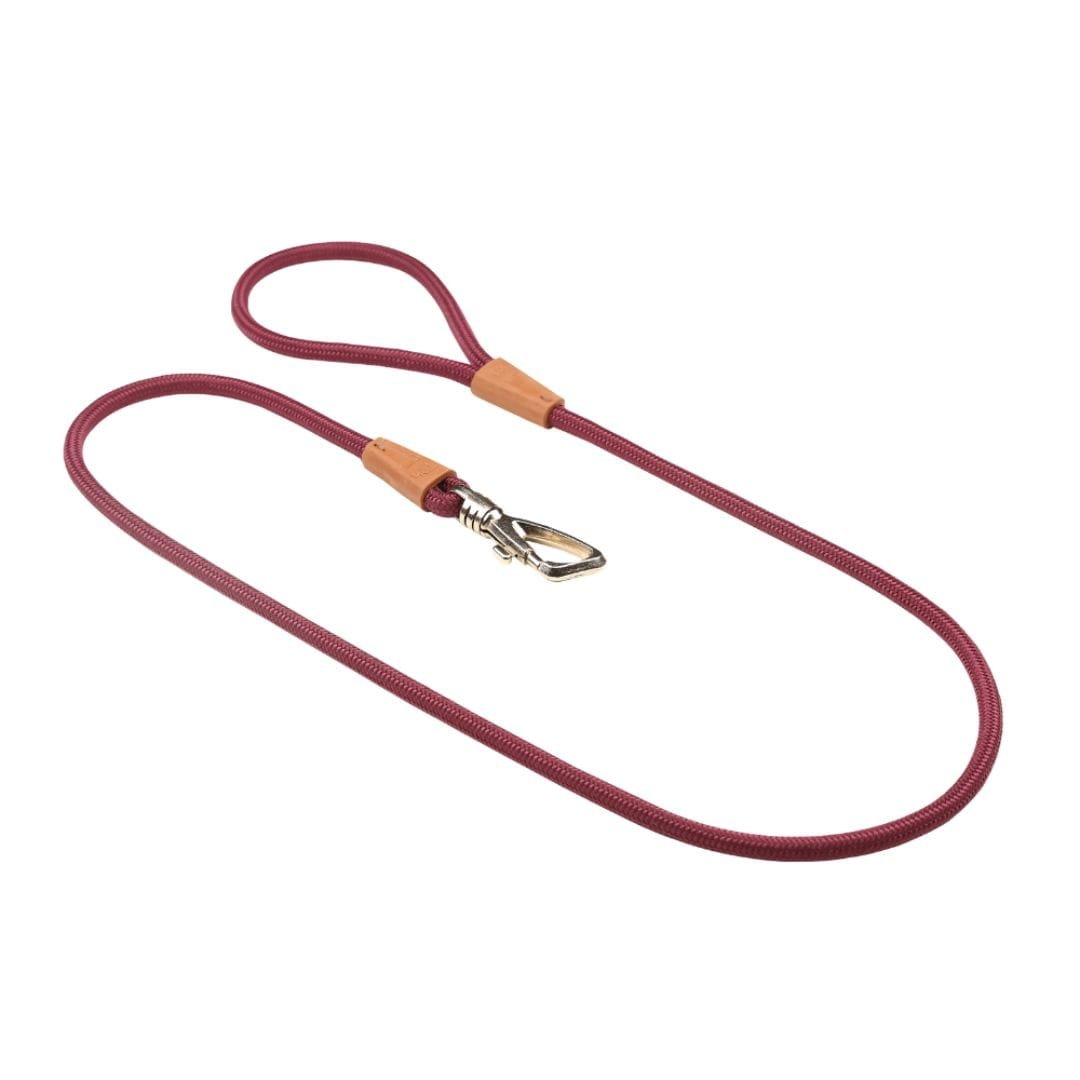 Dermaven-Shampoo-Para-Perros-800-×-800-px-1080-x-1080-px-2-1-2.jpg Correa Toh Redonda 5 M Bordo - Imagen 1