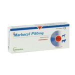 Marbocyl 80 Mg