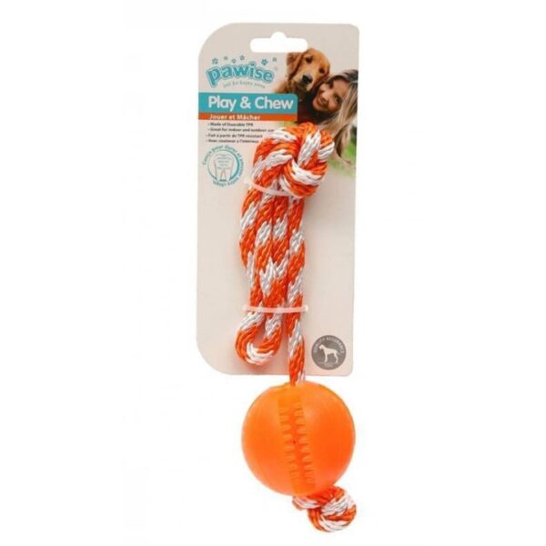 Pawise Pelota para jugar y masticar