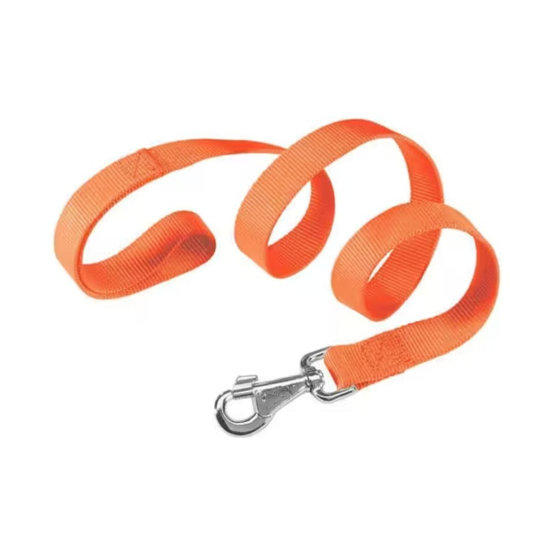 Dermaven-Shampoo-Para-Perros-800-×-800-px-1080-x-1080-px-7-1-2.jpg Correa Club G10/120 Naranja - Imagen 1