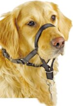 Dogal Pawise Talle 4 - Imagen 4