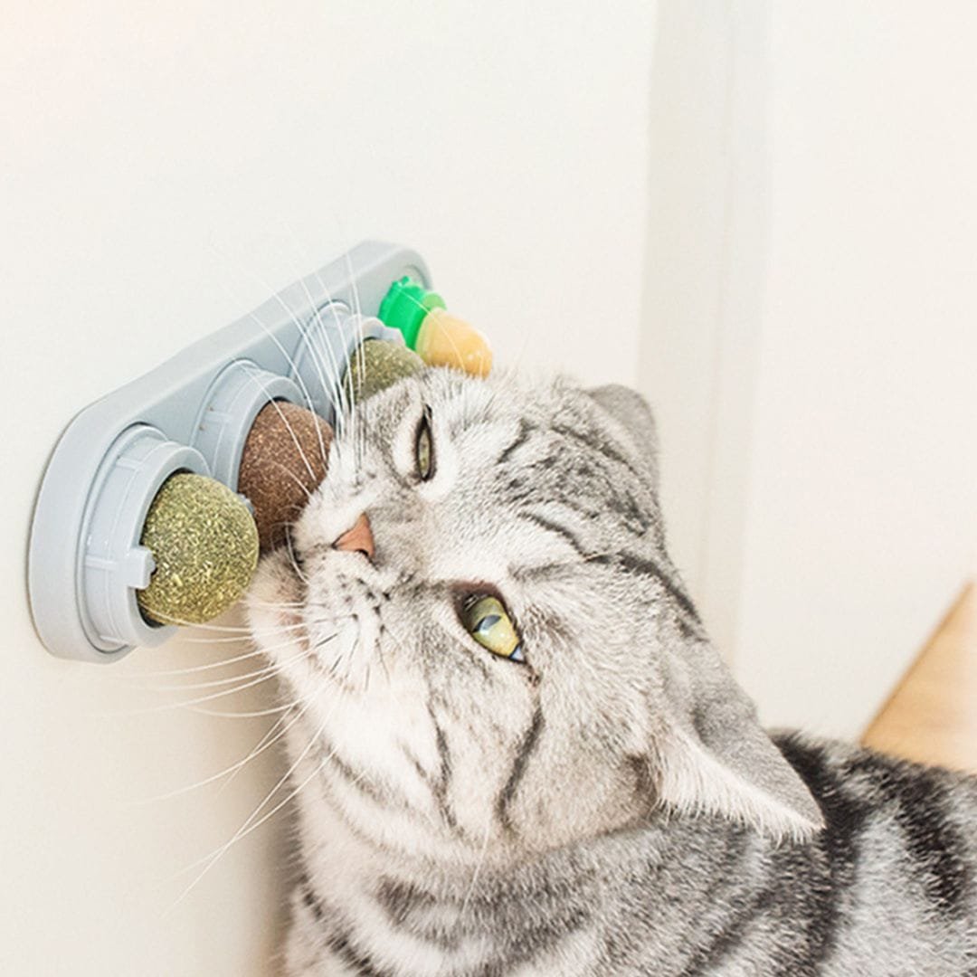 Golosina-Para-Gatos-Bola-3-en-1.jpg Golosina Para Gatos Bola 3 en 1 - Imagen 1