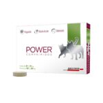 Power Comprimidos Perros 10-20Kg y Gatos 6-12Kg