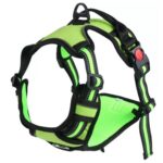 Pretal Reflectivo Doble Enganche S