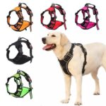 Pretal Reflectivo Doble Enganche Xs