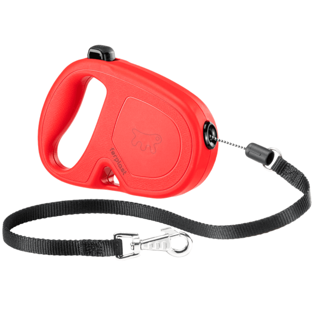 Sin-titulo-1080-x-1080-px-1.png Correa Extensible Cordo 5 M -Max 35 Kg - Imagen 1