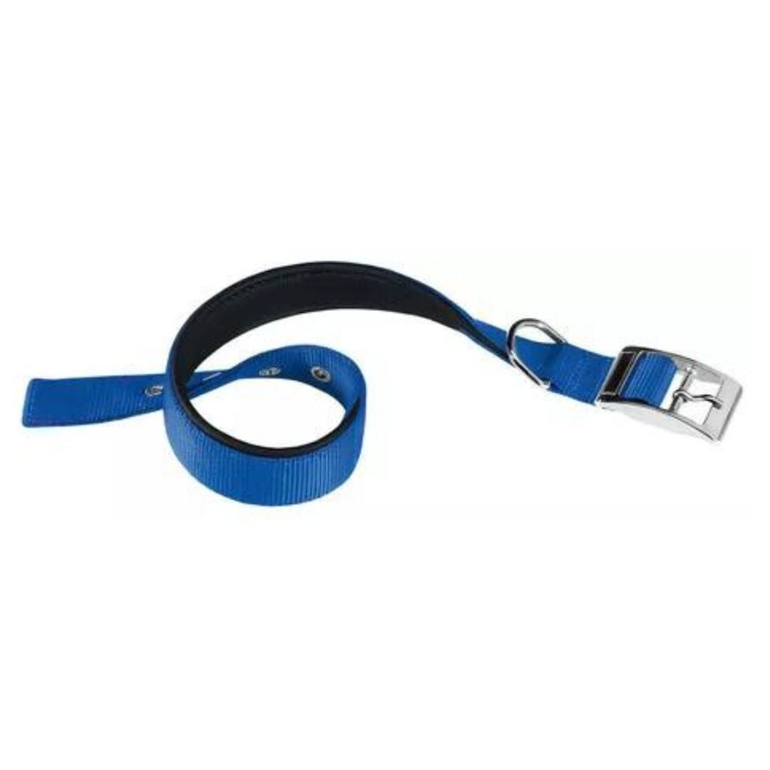 Sin-titulo-1080-x-1080-px-64.jpg Collar Daytona C40/69 Azul - Imagen 1