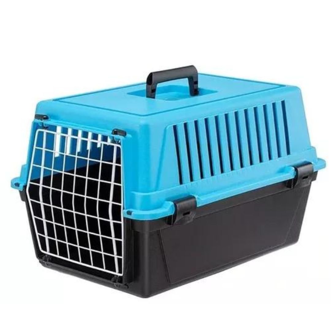 Transportadora-Atlas-10-Turquesa.jpg Transportadora Atlas 10 Turquesa - Imagen 1