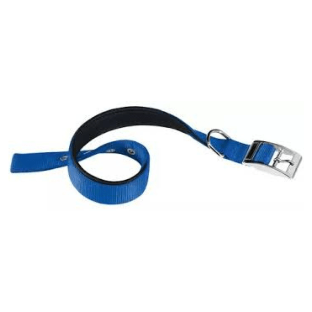 daytona-c2045.png Collar Daytona C20/43 Azul - Imagen 1