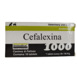 Antibiotico Cefalexina 1000 Mg