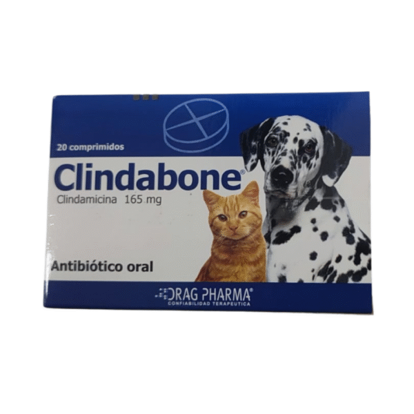 Antibiotico Clindabone Clindamicina 165 Mg